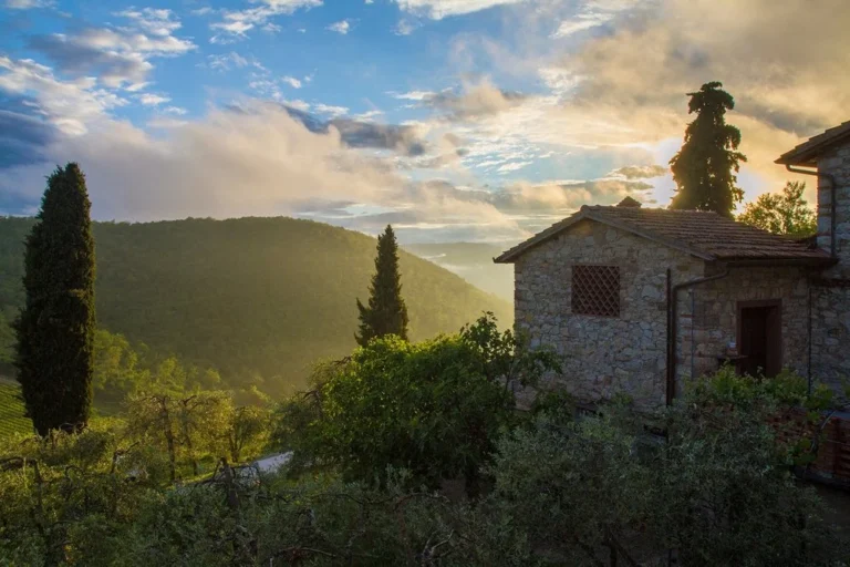 A Tuscan Dream in Each Drop