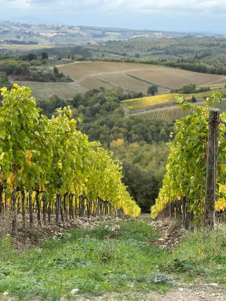 A Time for Giving Thanks